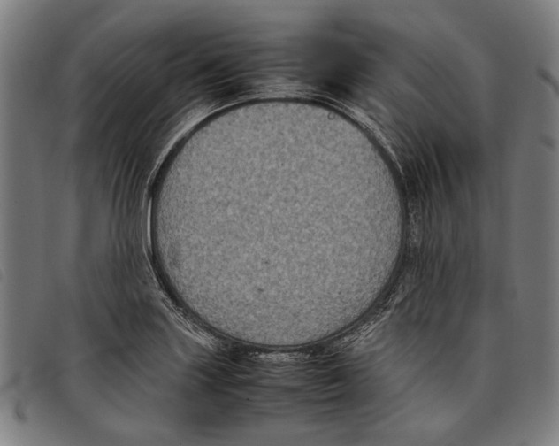 X0000097821227200804041351