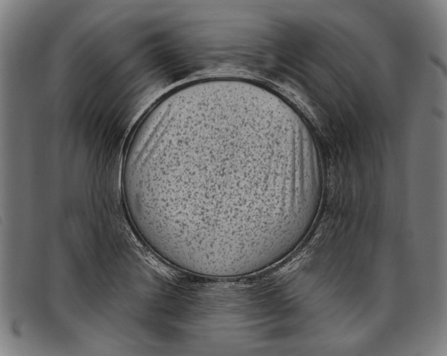 X0000097821228200804041351