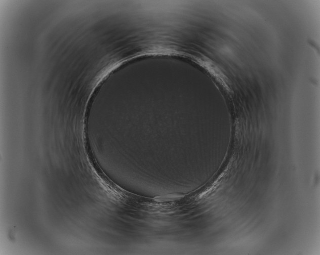 X0000097821229200804041351