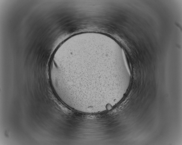 X0000097821230200804041351