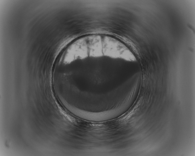 X0000097821231200804041351