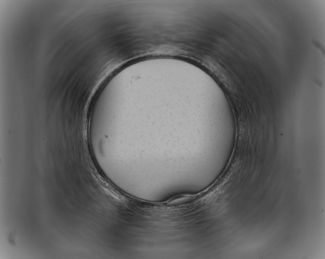 X0000097821232200804041351