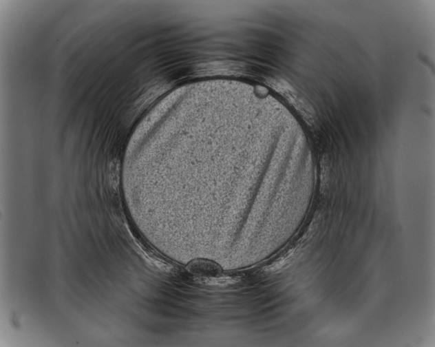 X0000097821233200804041351