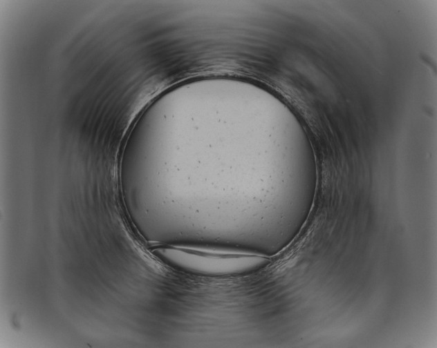 X0000097821234200804041351