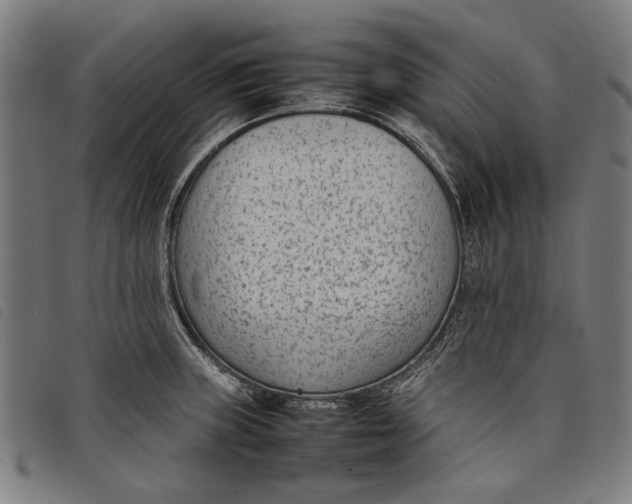 X0000097821235200804041351