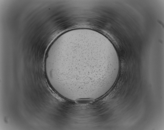 X0000097821236200804041351