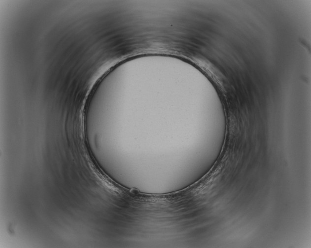 X0000097821238200804041351