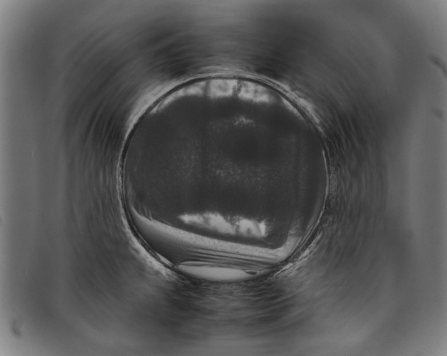 X0000097821239200804041351