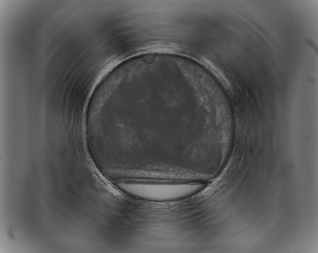 X0000097821240200804041351