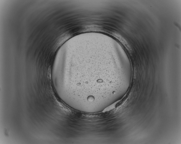 X0000097821241200804041351