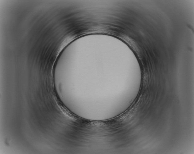 X0000097821242200804041351