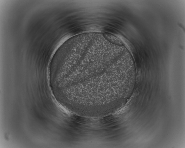 X0000097821243200804041351