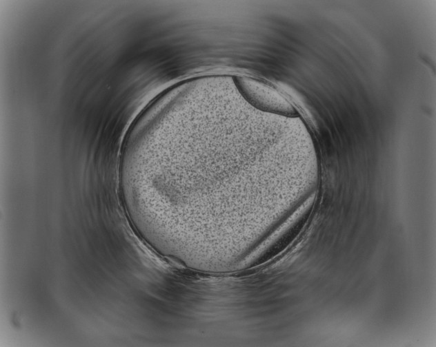 X0000097821244200804041351