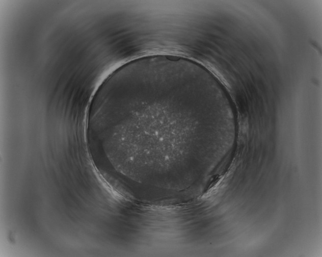 X0000097821246200804041351