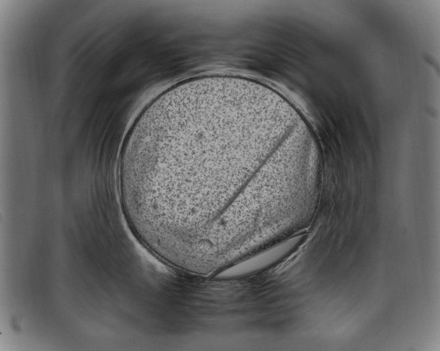 X0000097821247200804041351