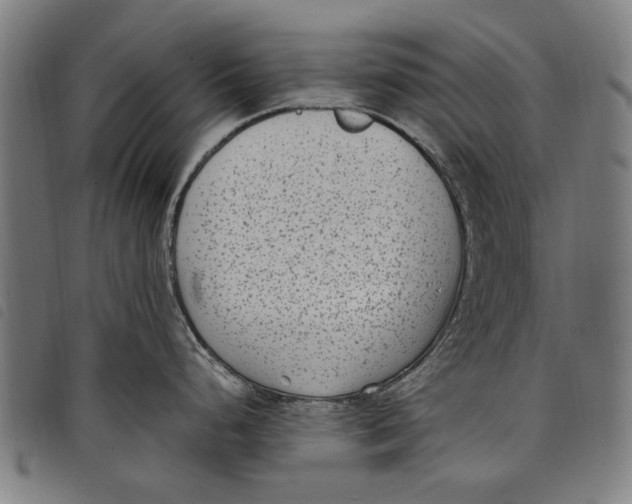 X0000097821248200804041351