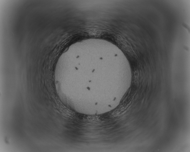 X0000097821249200804041351