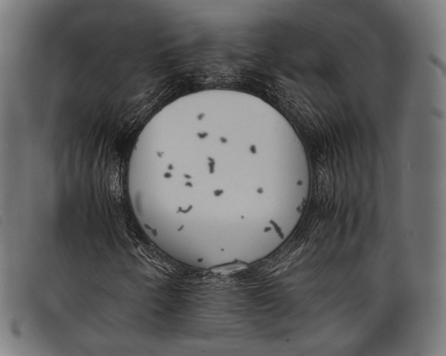 X0000097821250200804041351