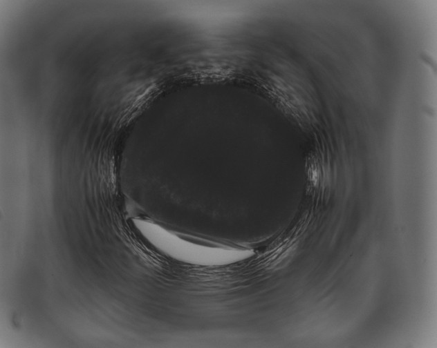 X0000097821252200804041351