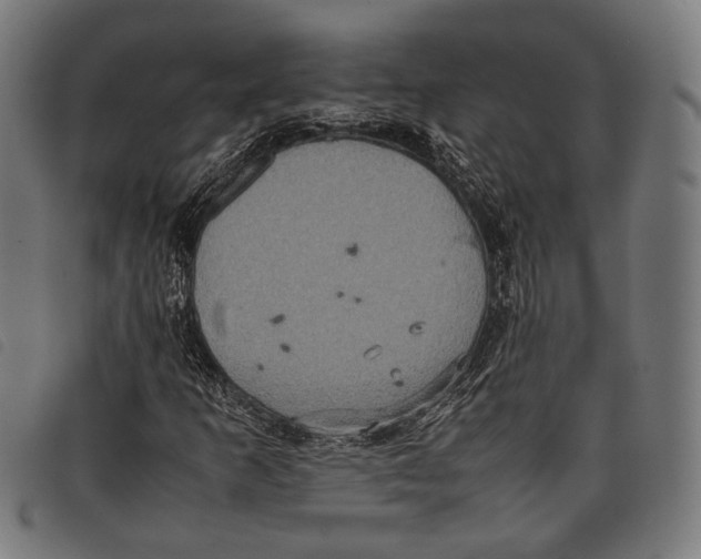 X0000097821253200804041351