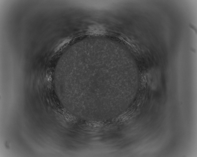 X0000097821254200804041351