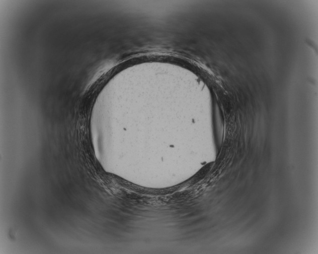 X0000097821255200804041351