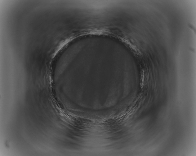 X0000097821256200804041351