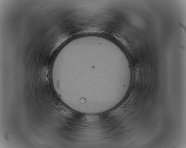 X0000097821258200804041351