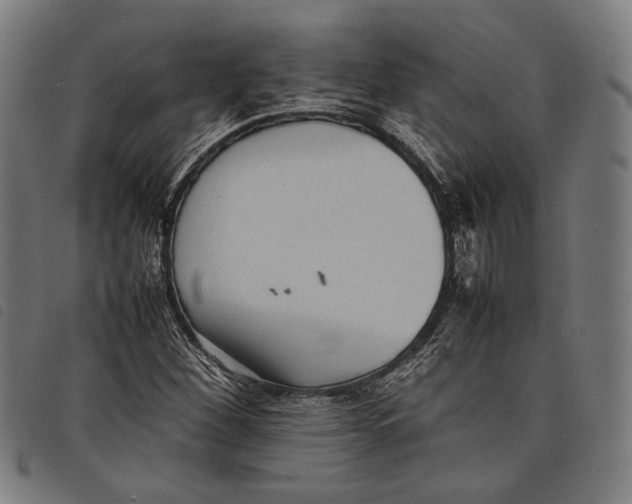 X0000097821260200804041351