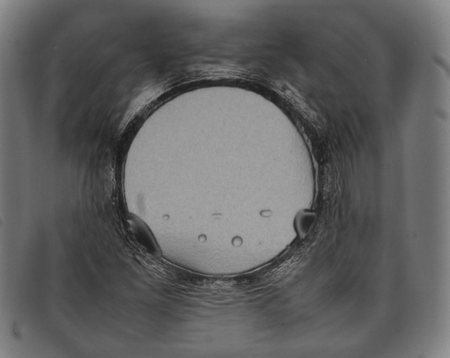 X0000097821261200804041351