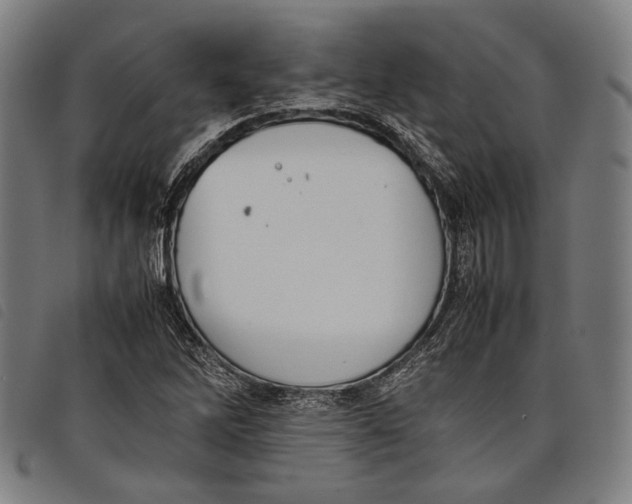 X0000097821262200804041351