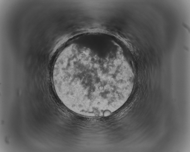 X0000097821263200804041351