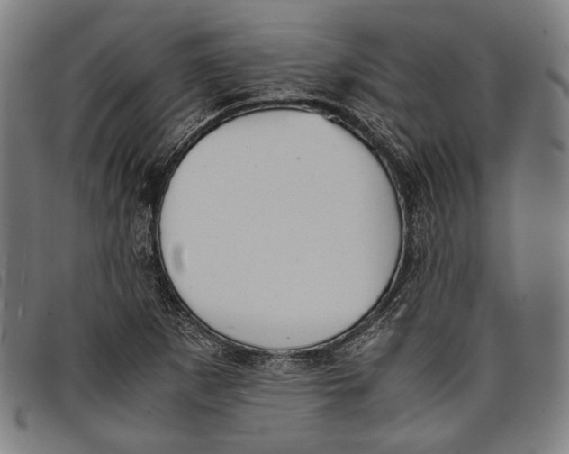 X0000097821265200804041351