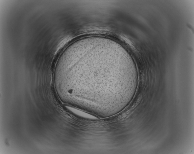 X0000097821267200804041350