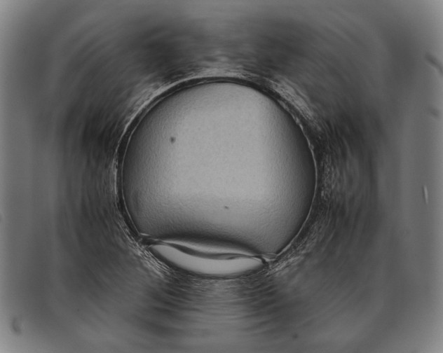 X0000097821268200804041350