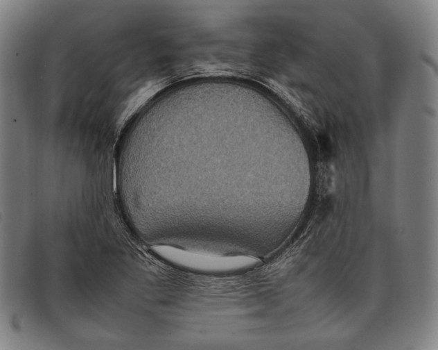 X0000097821269200804041350