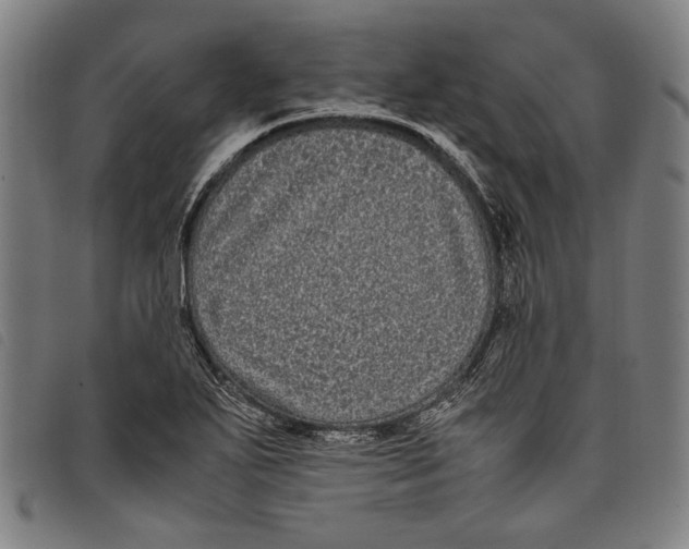 X0000097821271200804041350