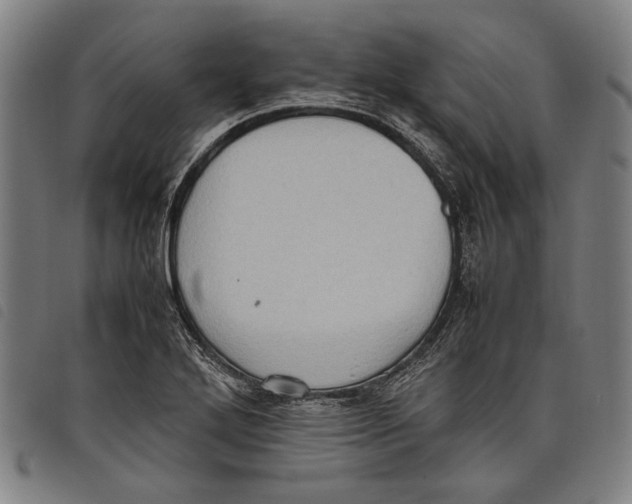 X0000097821272200804041350