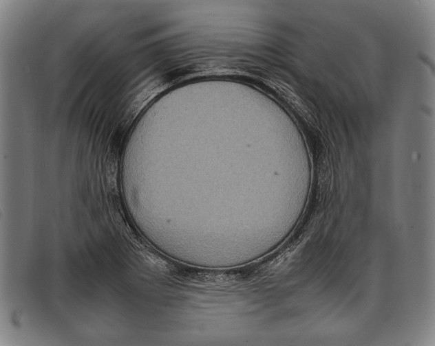 X0000097821273200804041350