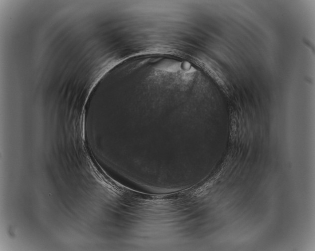 X0000097821276200804041350