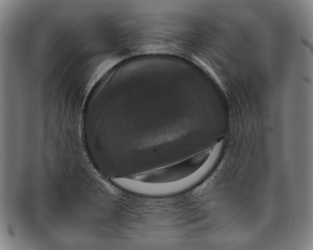 X0000097821277200804041350