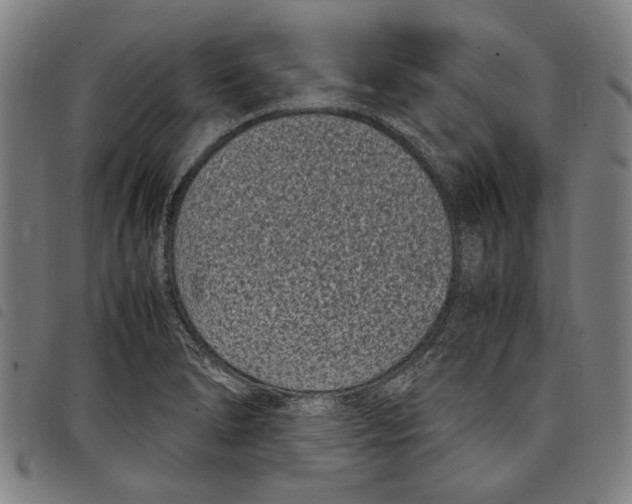 X0000097821278200804041350