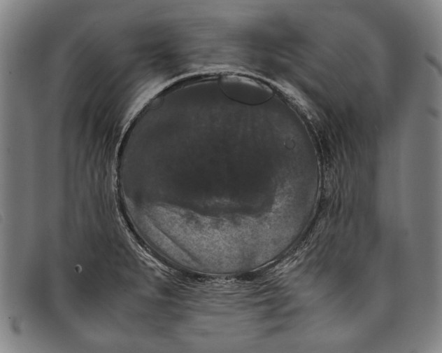 X0000097821279200804041350