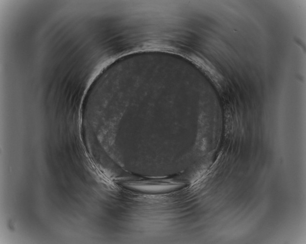 X0000097821280200804041350