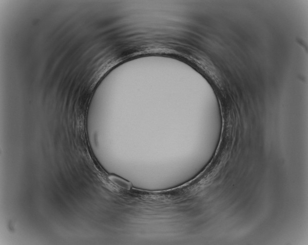 X0000097821281200804041350