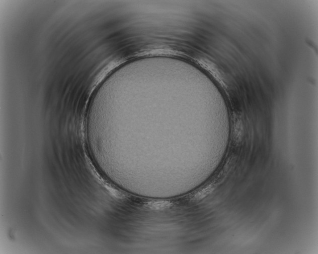 X0000097821282200804041350