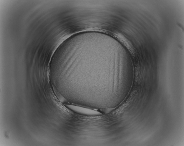 X0000097821284200804041350