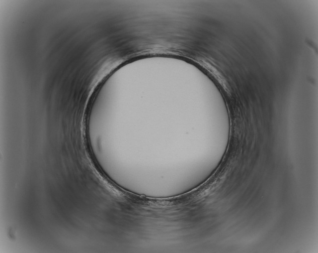 X0000097821285200804041350