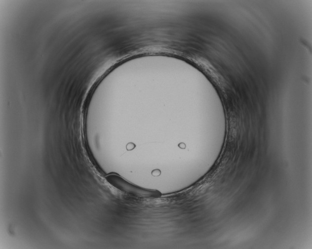 X0000097821286200804041350