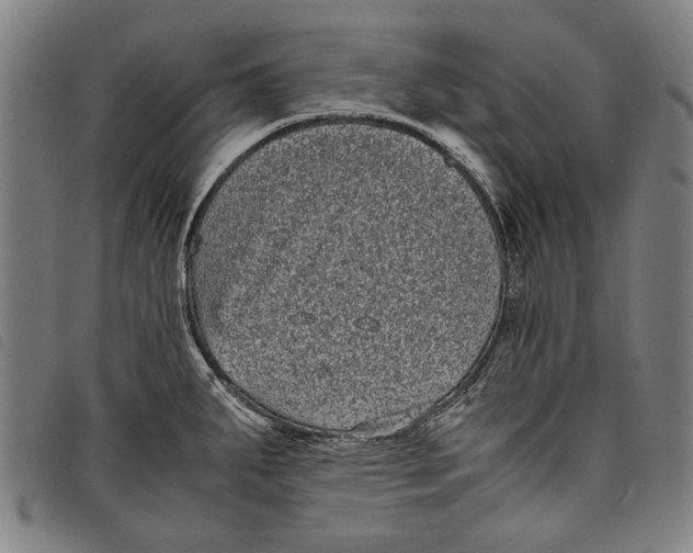 X0000097821287200804041350